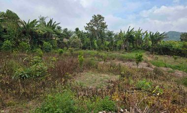 Dijual tanah kecil di.lingkungan villa kintamani bali
