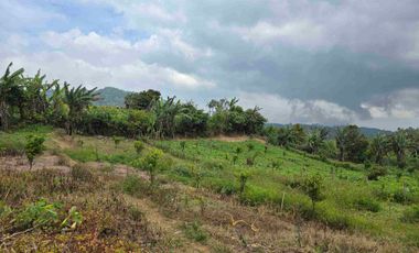 Dijual tanah kecil di.lingkungan villa kintamani bali