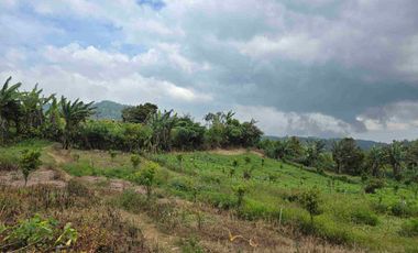 Dijual tanah kecil di.lingkungan villa kintamani bali