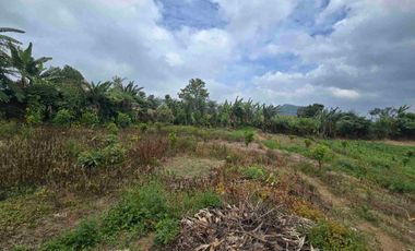 Dijual tanah kecil di.lingkungan villa kintamani bali