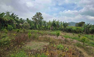 Dijual tanah kecil di.lingkungan villa kintamani bali