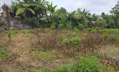 Dijual tanah kecil di.lingkungan villa kintamani bali