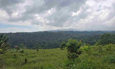 Dijual tanah view lembah sangat cantik di kintamani bali