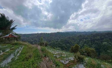 Dijual tanah view lembah sangat cantik di kintamani bali