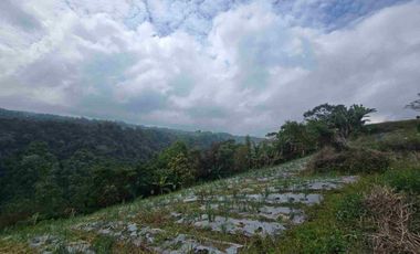 Dijual tanah view lembah sangat cantik di kintamani bali