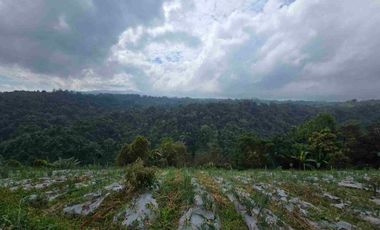 Dijual tanah view lembah sangat cantik di kintamani bali