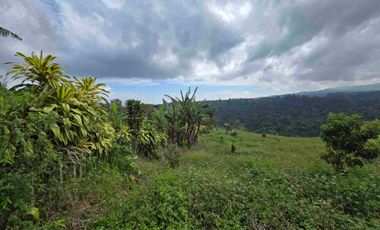 Dijual tanah view lembah sangat cantik di kintamani bali