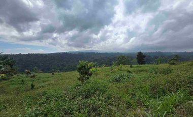 Dijual tanah view lembah sangat cantik di kintamani bali