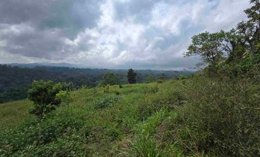 Dijual tanah view lembah sangat cantik di kintamani bali