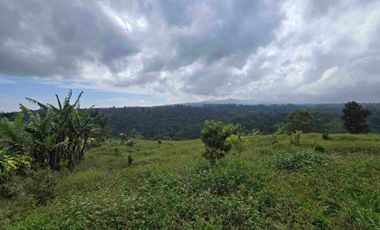 Dijual tanah view lembah sangat cantik di kintamani bali