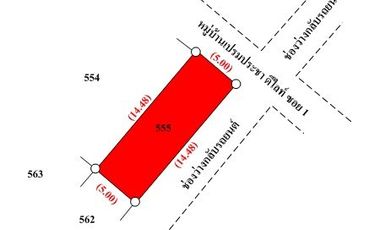 ทรัพย์ บสส. รหัส 8Z7058 ทาวน์เฮ้าส์ พระนครศรีอยุธยา