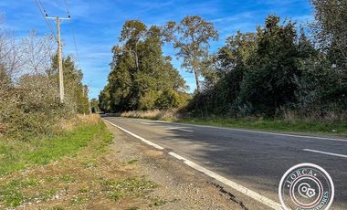 En venta preciosa parcela en sector Mafil, Valdivia