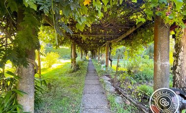 En venta preciosa parcela en sector Mafil, Valdivia