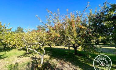 En venta preciosa parcela en sector Mafil, Valdivia