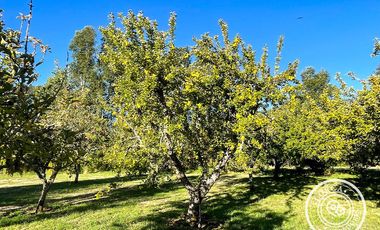En venta preciosa parcela en sector Mafil, Valdivia