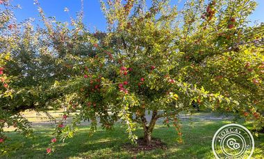 En venta preciosa parcela en sector Mafil, Valdivia