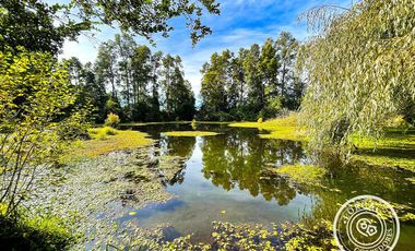 En venta preciosa parcela en sector Mafil, Valdivia