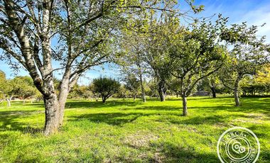 En venta preciosa parcela en sector Mafil, Valdivia