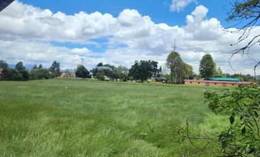 ¡Descubre tu próximo hogar en Chía! Se renta encantadora cabaña de 90m² en un ambiente totalmente campestre. Perfecta para quienes buscan tranquilidad