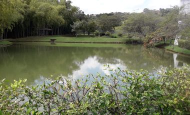 VENDO LOTE HACIENDA POTRERITO JAMUNDI VALLE