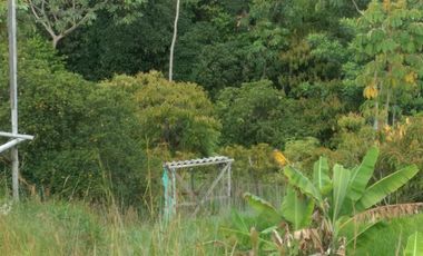 VENDO LOTE HACIENDA POTRERITO JAMUNDI VALLE