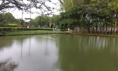 VENDO LOTE HACIENDA POTRERITO JAMUNDI VALLE