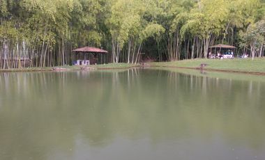 VENDO LOTE HACIENDA POTRERITO JAMUNDI VALLE