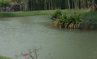 VENDO LOTE HACIENDA POTRERITO JAMUNDI VALLE