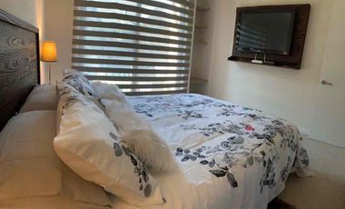 Casa 3D Condom. Alicura Pucón