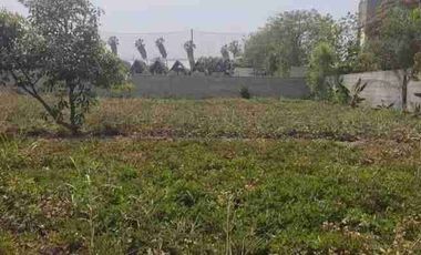 Vendo terreno de 5,763 m2, en Pachacamac en Casa Blanca. Ref. Colegio Euroamericano y espalda de Inkavida club