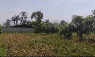 Vendo terreno de 5,763 m2, en Pachacamac en Casa Blanca. Ref. Colegio Euroamericano y espalda de Inkavida club