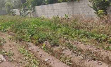 Vendo terreno de 5,763 m2, en Pachacamac en Casa Blanca. Ref. Colegio Euroamericano y espalda de Inkavida club