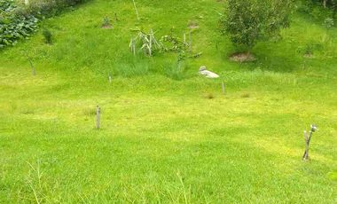vendo casa en Yunguilla sector Sulupali Chico cuenca ecuador