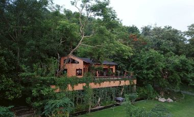 ขายบ้านสวน 3 ไร่ พื้นที่ติดเขา ชะอม เเก่งคอย สระบุรี สูดอากาศดีได้ทุกเช้า จะใช้พักผ่อนเลี้ยงไก่ ปลูกผัก เดินชมสวน …ในพื้นที่ส่วนตัวของคุณเอง