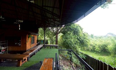 ขายบ้านสวน 3 ไร่ พื้นที่ติดเขา ชะอม เเก่งคอย สระบุรี สูดอากาศดีได้ทุกเช้า จะใช้พักผ่อนเลี้ยงไก่ ปลูกผัก เดินชมสวน …ในพื้นที่ส่วนตัวของคุณเอง
