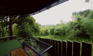 ขายบ้านสวน 3 ไร่ พื้นที่ติดเขา ชะอม เเก่งคอย สระบุรี สูดอากาศดีได้ทุกเช้า จะใช้พักผ่อนเลี้ยงไก่ ปลูกผัก เดินชมสวน …ในพื้นที่ส่วนตัวของคุณเอง