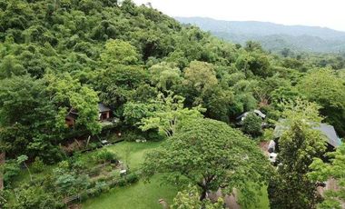 ขายบ้านสวน 3 ไร่ พื้นที่ติดเขา ชะอม เเก่งคอย สระบุรี สูดอากาศดีได้ทุกเช้า จะใช้พักผ่อนเลี้ยงไก่ ปลูกผัก เดินชมสวน …ในพื้นที่ส่วนตัวของคุณเอง