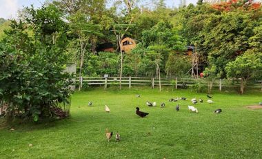 ขายบ้านสวน 3 ไร่ พื้นที่ติดเขา ชะอม เเก่งคอย สระบุรี สูดอากาศดีได้ทุกเช้า จะใช้พักผ่อนเลี้ยงไก่ ปลูกผัก เดินชมสวน …ในพื้นที่ส่วนตัวของคุณเอง