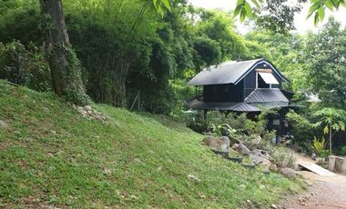 ขายบ้านสวน 3 ไร่ พื้นที่ติดเขา ชะอม เเก่งคอย สระบุรี สูดอากาศดีได้ทุกเช้า จะใช้พักผ่อนเลี้ยงไก่ ปลูกผัก เดินชมสวน …ในพื้นที่ส่วนตัวของคุณเอง