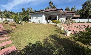 Beautiful Big House in Valencia