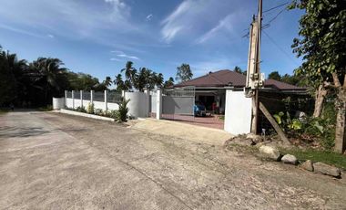 Beautiful Big House in Valencia