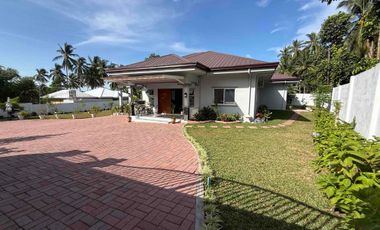 Beautiful Big House in Valencia