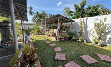 Beautiful Big House in Valencia