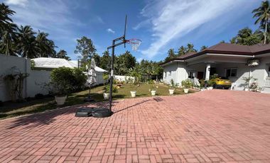Beautiful Big House in Valencia