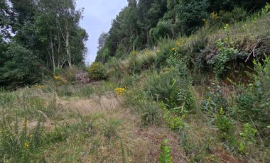 Parcela en Venta – Sector Santa Elvira, Valdivia