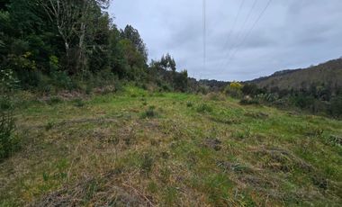 Parcela en Venta – Sector Santa Elvira, Valdivia