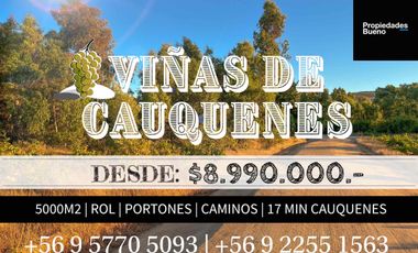 Venta de Parcelas en Cauquenes, Región del Maule