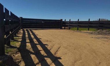 Venta de Parcelas en Cauquenes, Región del Maule