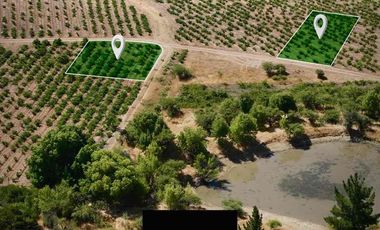 Venta de Parcelas en Cauquenes, Región del Maule