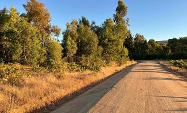 Venta de Parcelas en Cauquenes, Región del Maule
